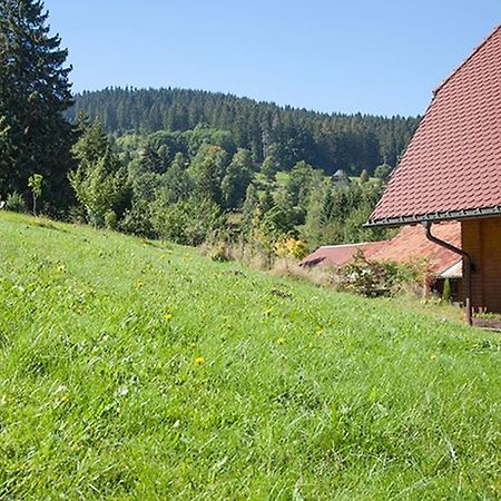 Ferienhaus Esche ヒンターツァルテン エクステリア 写真