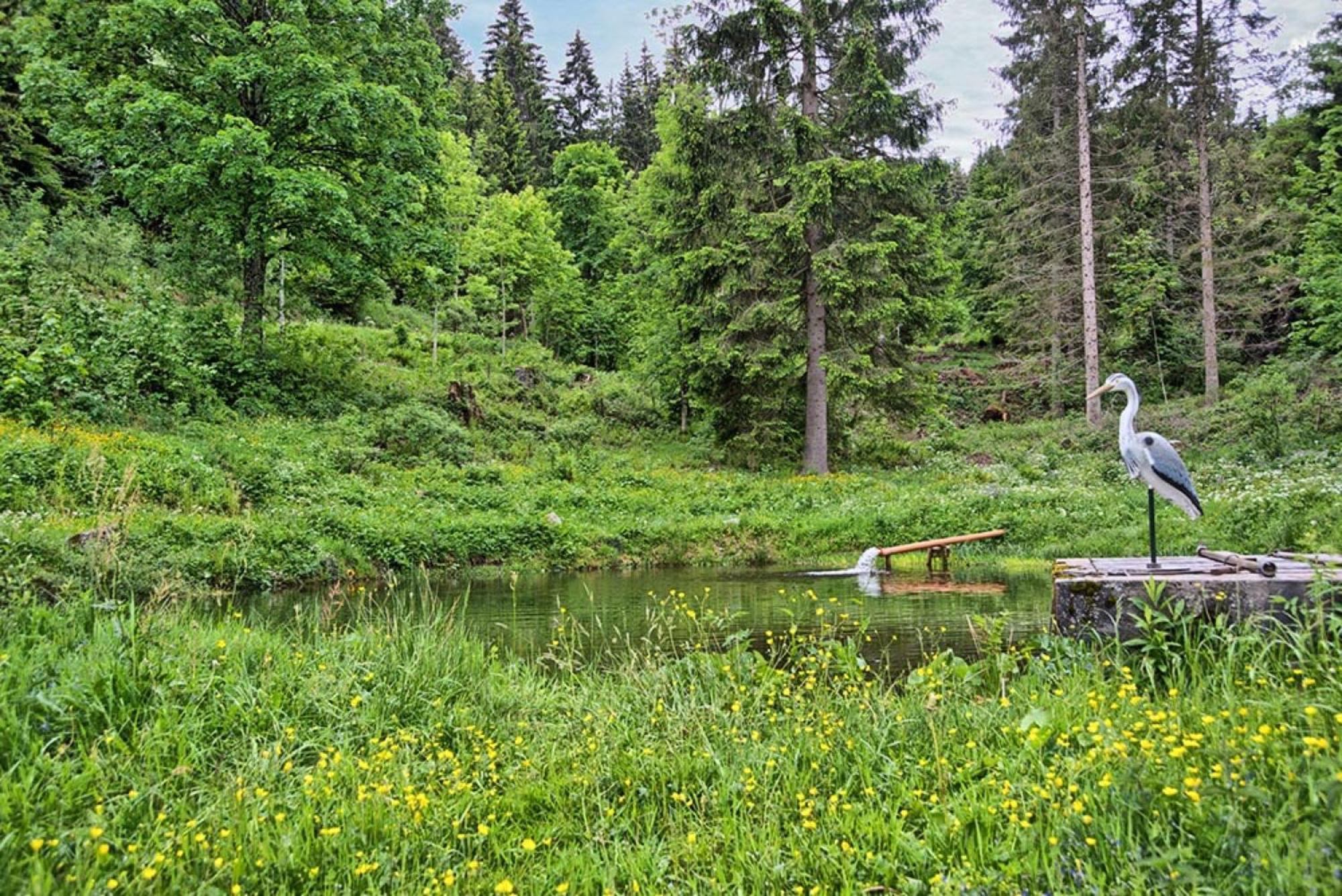Ferienhaus Esche ヒンターツァルテン エクステリア 写真