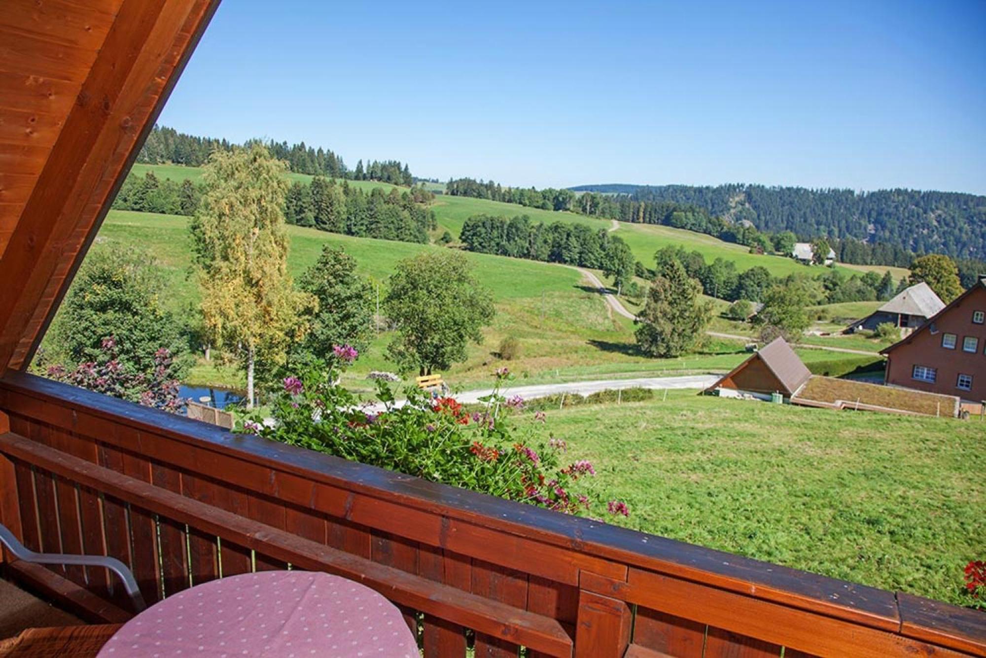 Ferienhaus Esche ヒンターツァルテン エクステリア 写真