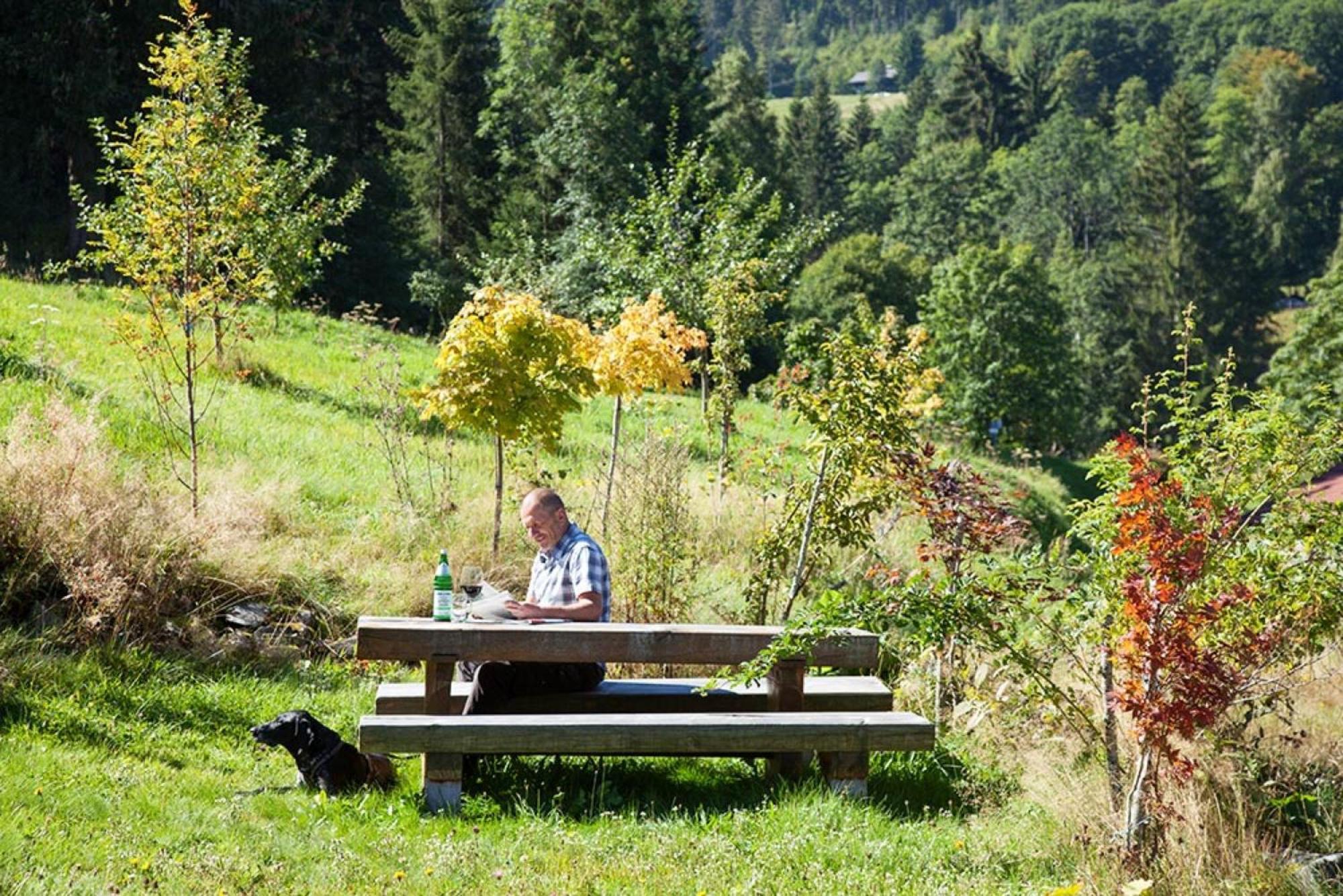 Ferienhaus Esche ヒンターツァルテン エクステリア 写真