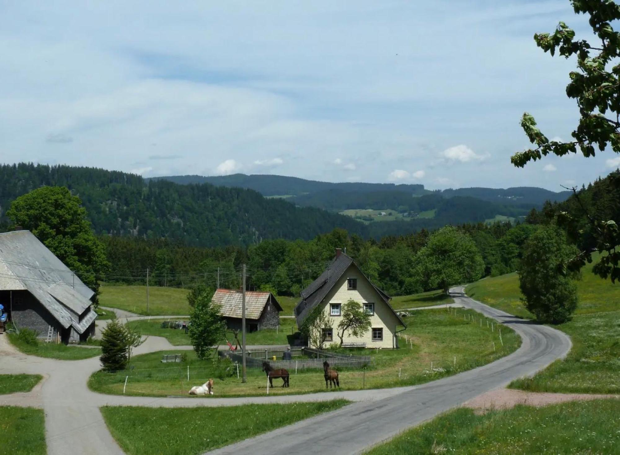 Ferienhaus Esche ヒンターツァルテン エクステリア 写真